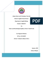 Final Seminar PDF
