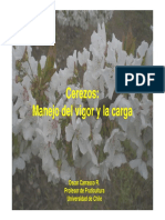Manejo de La Carga y El Vigor en Cerezos - Oscar Carrasco PDF
