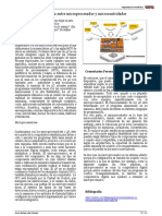 Diferencia Entre Microprocesador y Microcontrolador