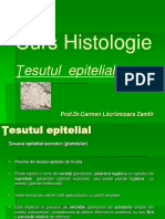 curs_2_ţesut_epitelial _ppt (1)
