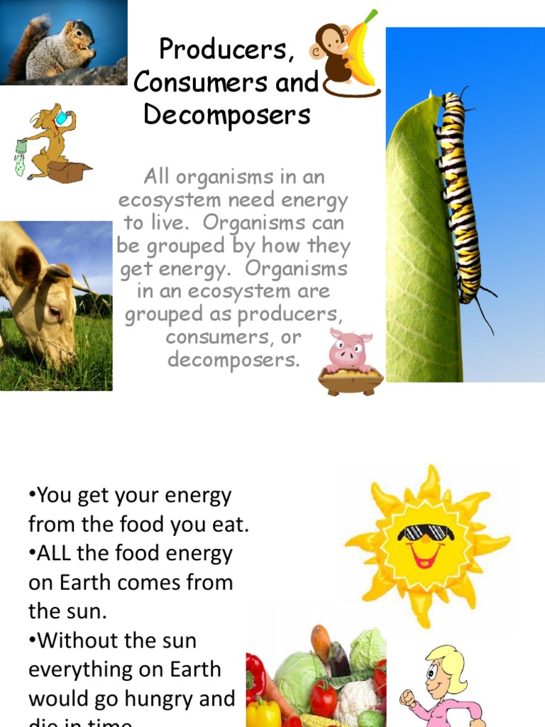 Consumers And Producers