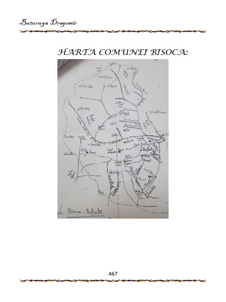 Carte Buturuga3 | PDF