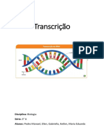 Relatório - Transcrição