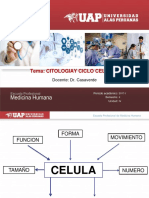 2- Citologia y Ciclo Celular Uap