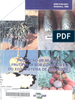 Produção de Mudas Frutíferas - Cerrado.pdf