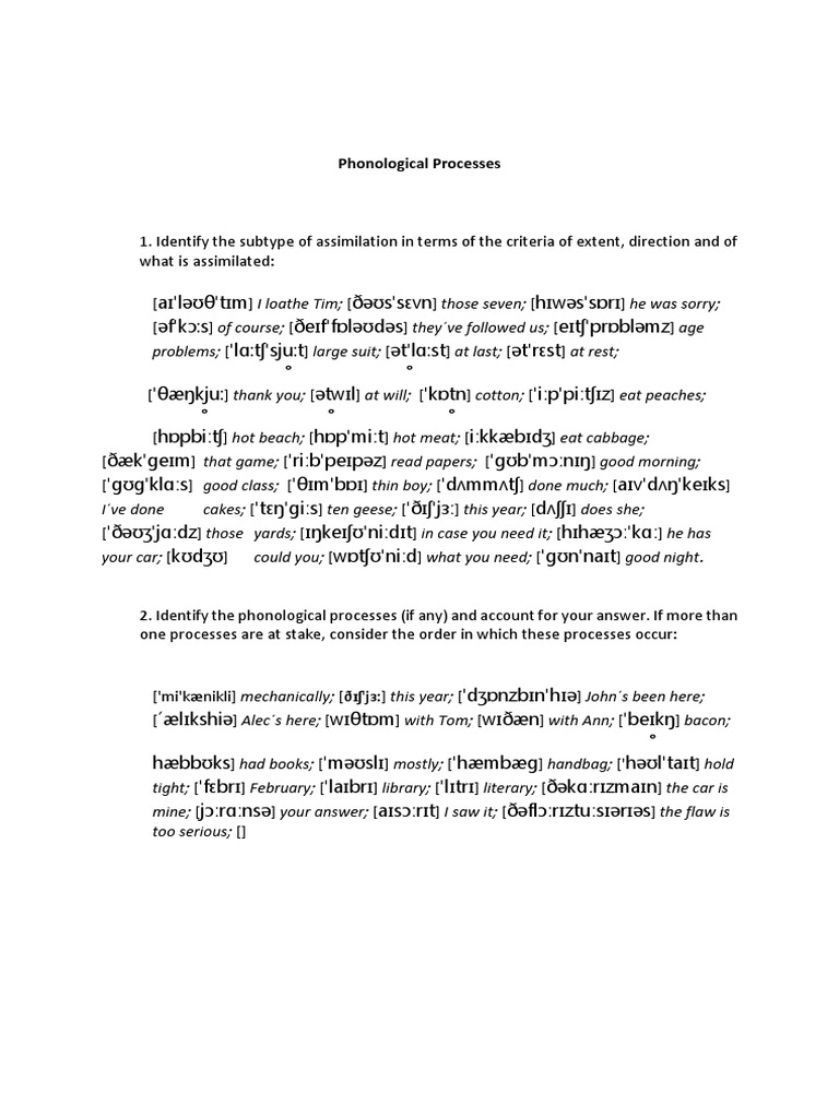 Phonological Processes Explained | PDF