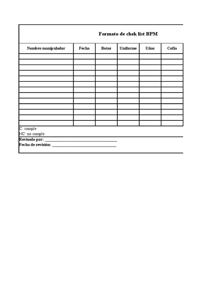 Formato BPM | PDF