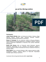 2016-12-21-Documento-Moringa-oleifera-RSA