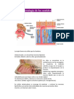 Histología de Los Sentidos