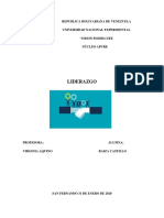 Informe Unidad V Raiza Castillo