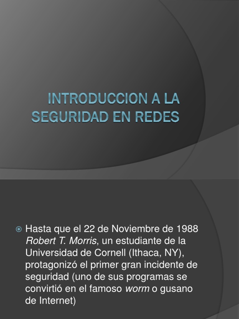 Seguridad en Redes | PDF | La seguridad informática | Seguridad