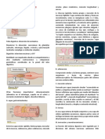 Resumen de Fisio