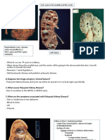 Pathology Lab Exam