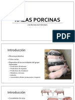 Razas Porcinas PDF