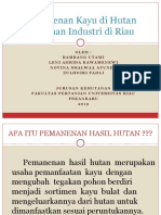 Pemanenan Kayu Di Hutan Tanaman Industri Di Riau 2