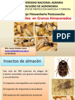 Plagas Insectiles en Granos Almacenados 2018.pdf