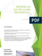 Informe de Practicas Pre Profesional Elaboracion de Expedienete Tecnico