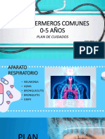 DX y Plan de Cuidados