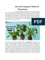 Buy the Best and Evergreen Plants at FlowerAura