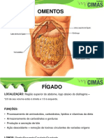 1544043767620,92 - 9211. - ANATOMIA E FISIOLOGIA - Aula 7