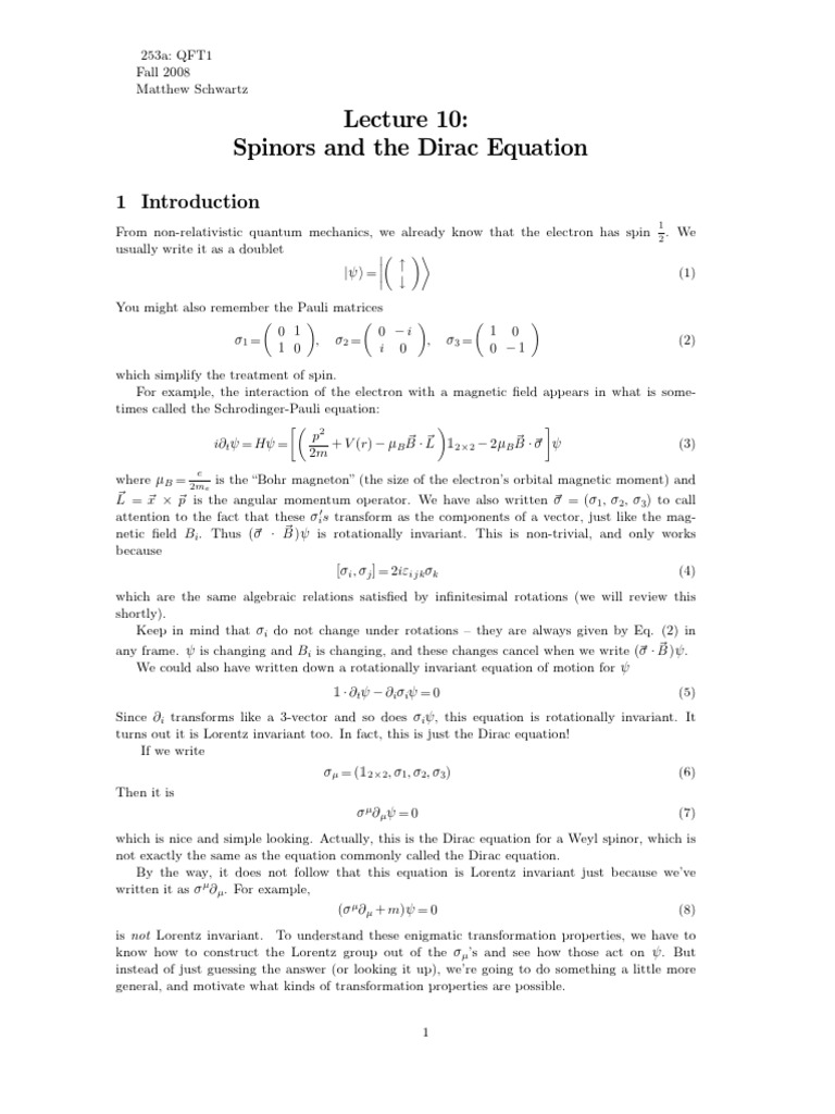 Spinors and the Dirac Equation Overview | PDF | Spin (Physics ...