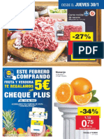 Lidl Folleto a Partir Del 3001 01