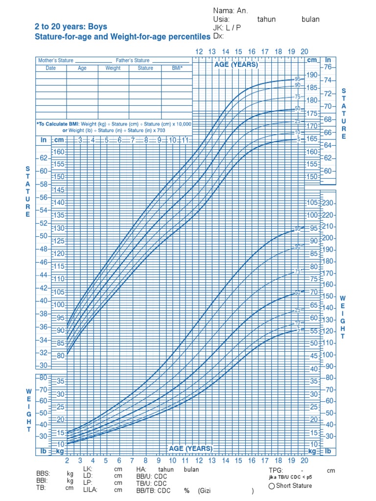 CDC Growth Chart for Boys 2-20 | PDF