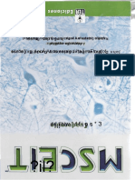 Msceit PDF