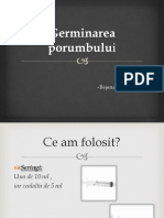 Germinarea porumbului.pptx-.pptx
