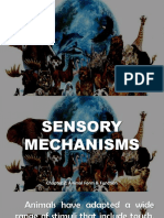 SENSORY-MECHANISMS.pptx
