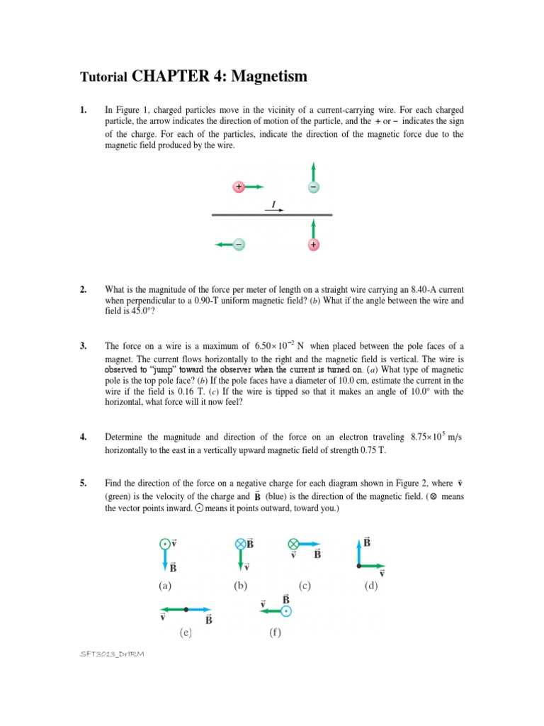 Magnetism Tutorial: Forces & Fields | PDF | Magnetic Field | Electric ...