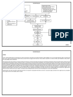 Anemia Pathophysiology