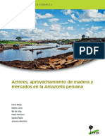 Actores, Aprovechamiento de Madera Amazonia