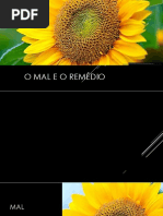 O mal e o Remédio.pptx