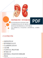 NEPHROTIC  SYNDROME IN ADULT.pptx