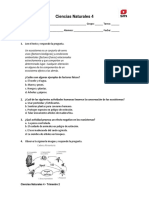 Ciencias Naturales 4 EVALUACION TRIMESTRE 2 ALUMNO