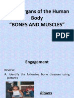 3major Organs of The Human Body