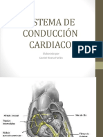 Sistema de Conducción Cardiaco