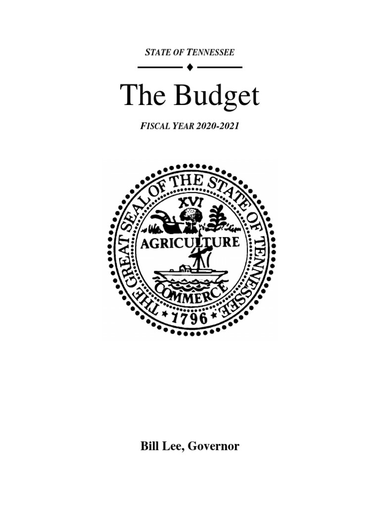 2021BudgetDocumentVol1 PDF PDF Fund Accounting Taxes