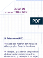 Saraf-Saraf Di Kedokteran Gigi