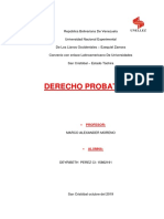 derecho probatorio deyribeth.docx