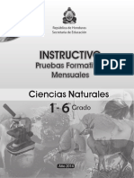 1ro a 6to - Instructivo Pruebas Formativas - Ciencias Naturales (2014)
