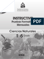 1ro A 6to - Instructivo Pruebas Formativas - Ciencias Naturales (2014)