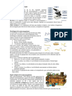 Características Del Microscopio