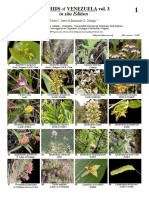 Venezuela Orchids Vol 3 PDF