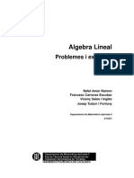 Algebra Lineal Problemes I Exercicis