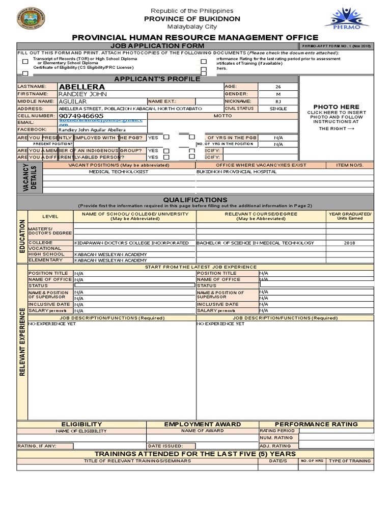 Bukidnon Government Job Application Form | PDF | Academic Degree ...