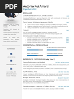 CV-RUI AMARAL-AGO2019 (1)