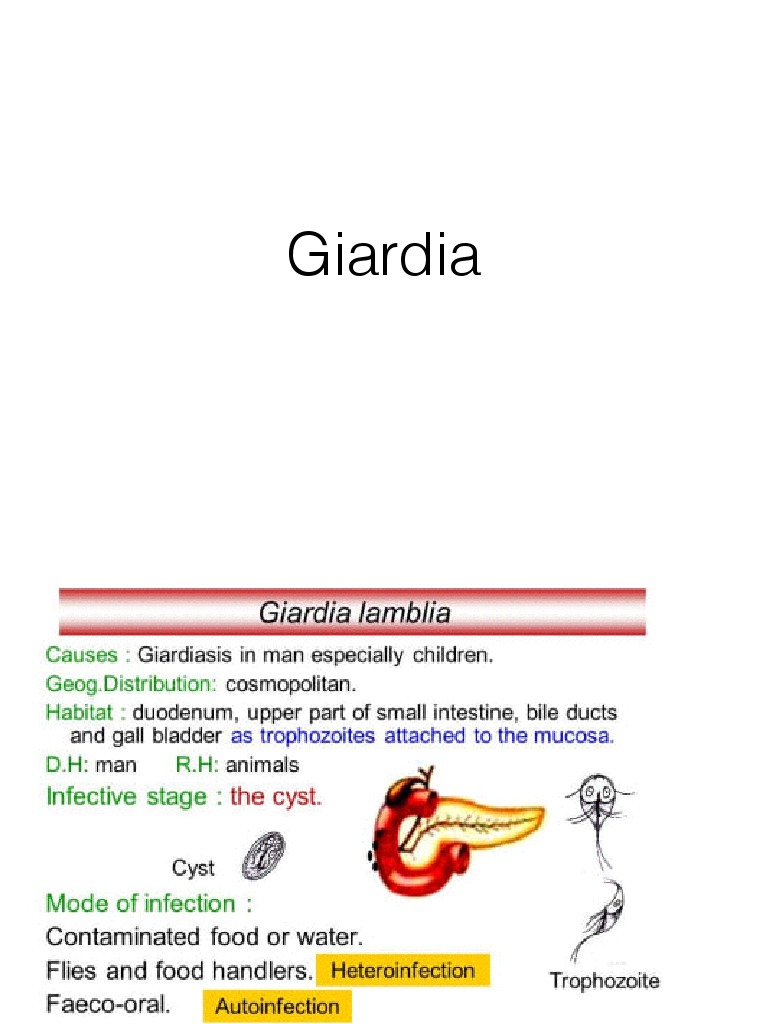 giardia vitamin deficiency)