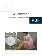 Wuchereria Bancrofti